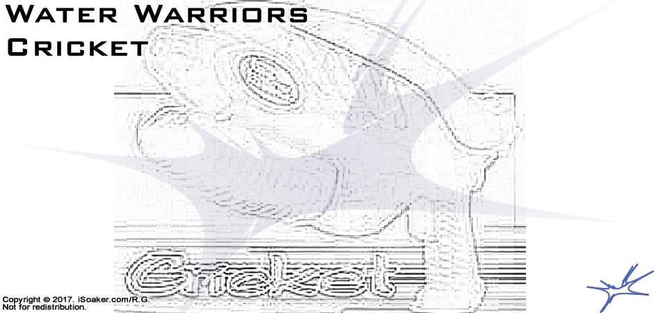 water_warriors_cricket